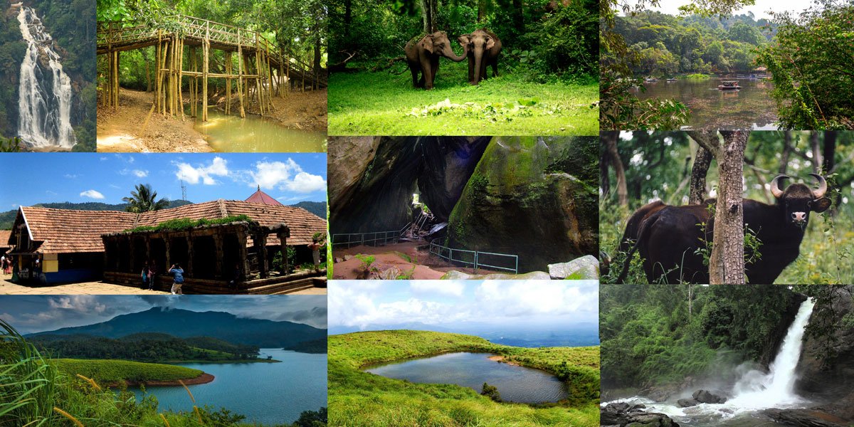 Kerala: Wayanad Adventure & Heritage Tour