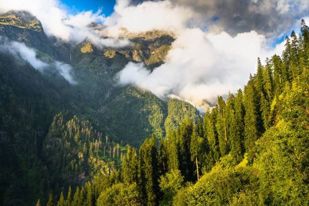 manali-kasol_img