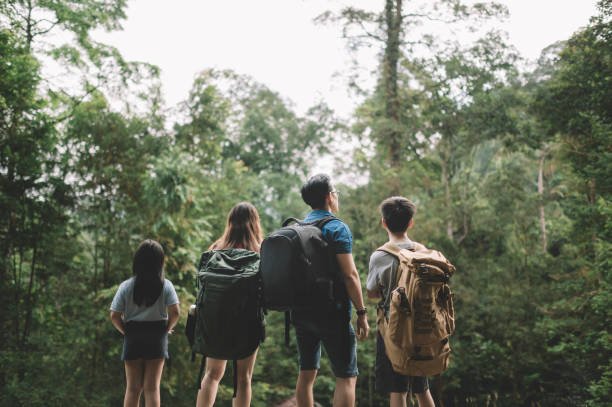 https://media.istockphoto.com/id/1255323103/photo/an-asian-chinese-family-of-2-children-standing-in-front-of-the-tropical-rainforest-in-the.jpg?s=612x612&w=0&k=20&c=PdFPOojn2P0nwhhLjxFniFlhSMKIZ2hbSiqrzTVjWjs=